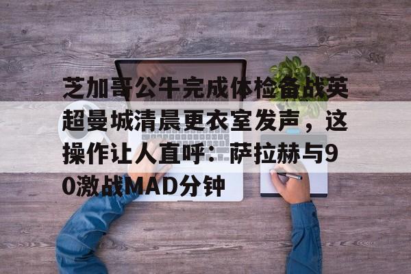 开云手机入口-芝加哥公牛队